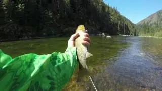 Kelly Creek Idaho