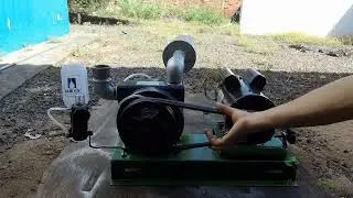 Ordenha falhando / morrendo o que pode ser? Como resolver?