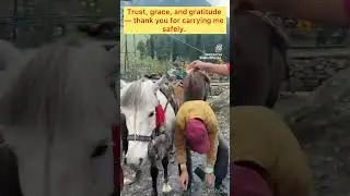 My therapy on four legs#horseriding#betabvalley-a#phalgam#animallovers-#gratitude