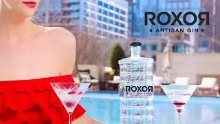ROXOR Artisan Gin & The History of Cocktails