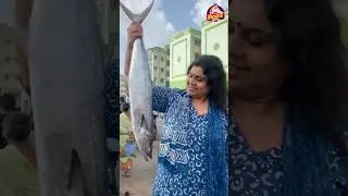 Fish Vanglama 🐟😊 VC🎥 : @AmmuRamachandranOfficial  | Vichitra