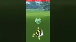 Live Shiny Trapinch Pokemon Go Community Day