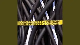 1you