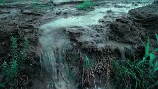 Aquafuel