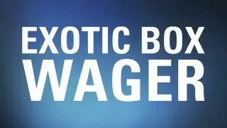 How to Place an Exacta Box Wager - TVG.com Tutorials