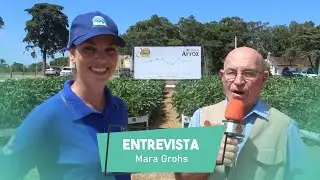 Entrevista com Mara Grohs