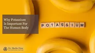 Why Potassium Is Important For The Human Body | Toronto Naturopathic Doctor Sheila Dyer