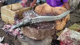 big alligator fish 25kg big killer fish cuttingvideo పెద్ద ముసలి చాప ఫిష్ కటింగ్ వీడియో #fishcutting