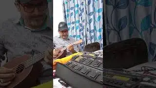 POD XT LIVE LINE6 /LE LAW BAKI LE LAW ARABIC SONG PLAYED UKULELE 👍MUST LISTEN 🥰 #Abd Rab Idris song