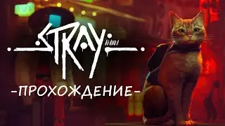 Stray | Прохождение