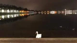 Für den Strand gibt es kein zu kalt - Schwerin | Mali