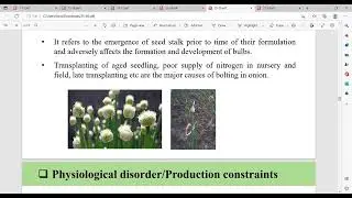PHYSIOLOGICAL DISORDER OF ONIONS | STUDY MATERIAL CREDIT: Dr. Kumar Lama | KU Bsc Ag | 3rd sem