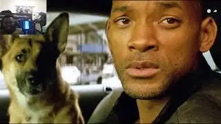 That time WILL SMITH was in a ZOMBIE APOCALYPSE with his dog (I Am Legend) Blankboy Reaction