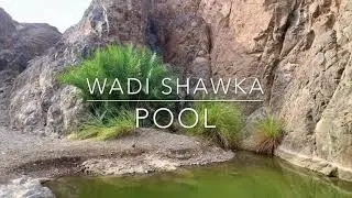 HIDDEN PLACES IN UAE , WADI SHAWKA POOL | ROUGH ROADS