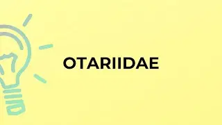 What is the meaning of the word OTARIIDAE?