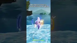 Some Players Use Different Element Characters In Genshin Impact