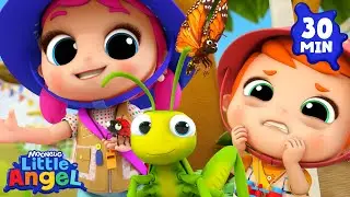 Funny Silly Bugs Song! 🐞 Little Angel | Best Animal Videos for Kids | Kids Songs and Nursery Rhymes