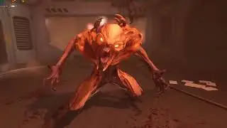 Ryzen 5500 Gtx 1070 Doom
