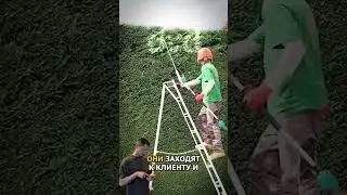 Хитрые Цыгане захватывают рынок конкурентов 🥇