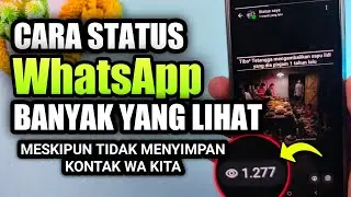Cara agar status whatsapp dilihat banyak orang