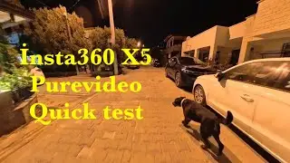 Night time run/Luna & Arap / Dogs follow me/İnsta360 X5