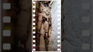 DESCOBERTA M&Uacute;MIA COBERTA DE OURO COM MAIS DE 4.300 ANOS