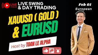 The Ultimate Swing Day Trading Forex Strategies for Beginners: No Experience Required: Free Signals