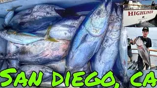 🔥OVERNIGHT BLUEFIN TUNA TRIP ABOARD THE HIGHLINER SPORTFISHING | SAN DIEGO CA | SUMMER JULY 2024🔥🎣🤙🏼