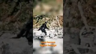 Is the Patterson-Gimlin Bigfoot REAL? Evidence Explained #shorts