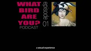 Why use sex toys?