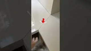 Professional Tile Cutting & Joining &ndash; Perfect Interior Finish! 🔨✨