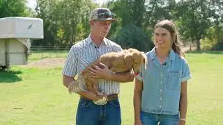 California Farm Bureau 2025 Farm Dog of the Year Contest Winner - Willy - CAFB 107th Annual Meeting