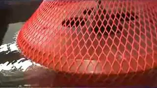 PE net machine--Yizhou Plastic Machinery Corp Ltd