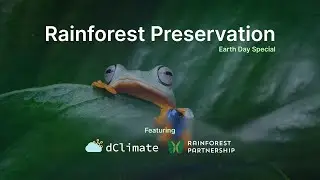Rainforest Protection: dClimate & Rainforest Partnership&rsquo;s Earth Day Dialog