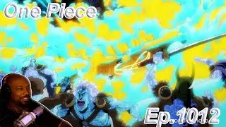 Marco Turned Out To Be Useful Afterall - One Piece - Episode 1012 Reaction