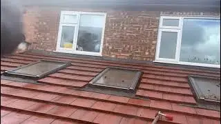 Roof Clean By Crystal Clear Window & Exterior Cleaners