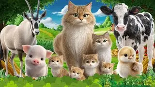 Милые сельскохозяйственные животные: кошка, котенок, корова, &ndash; Звуки сельскохозяйственных животных