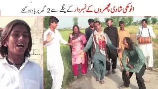 Top comeyd Most viral videos 2025  Anokhi shadi  Machhron ke  / numberdar  Mahi, Dukki, Jugnu,Dholan