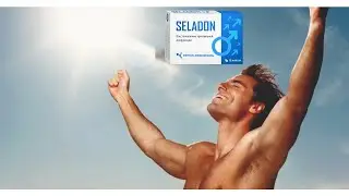 Seladon Где Купить