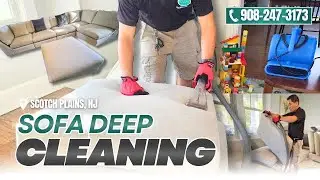 Room & Board Modern Furniture Cleaning | Sofa Deep Cleaning in Scotch Plains NJ