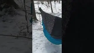 Hammock DutchWear Chameleon