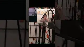 BoxBox Slips up with his words
