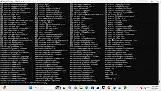 CSV25Session72 Openlane2   Macro Run and Synthesis Strategy   Part 2