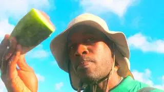 🌴 Day 18 Caribbean Sailing Adventure with Odyssey Expeditions | Travel, Explore, Dive & Discover 🌊
