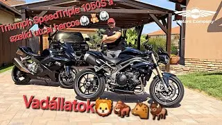 ELADÓ 2019 Triumph SpeedTriple 1050S az utcai harcos