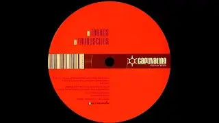 Starsign &ndash; Taurus (Original Mix)