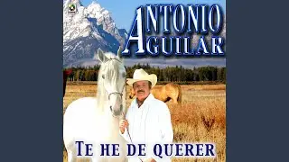 La Celda De Mi Prisión