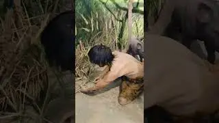 An Early Neolithic Village #viralvideo #trending #sciencecitykolkata #ytshorts #viral