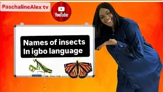 НАЗВАНИЯ НАСЕКОМЫХ 🐜 🐞 🕷️ НА ЯЗЫКЕ ИГБО #изучениеигбо #изучениеязыкаигбо #обучение