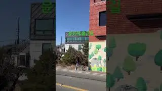 맑고 따스한 겨울아침 출근길에 코끼리벽화앞에서~#윤은혜greenlog #주남저수지 #주남팥집 #반려견동반여행 #에피소드 #shorts